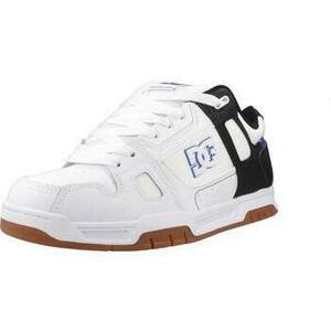 Divat edzőcipők DC Shoes STAG kép