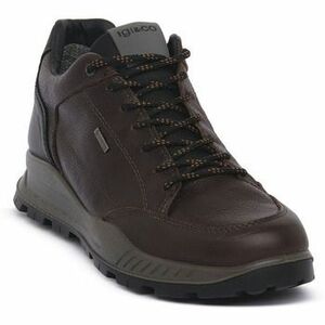 Divat edzőcipők IgI&CO FIORE TESTA MORO kép