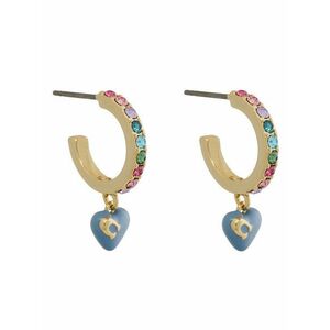 Fülbevaló Coach kép