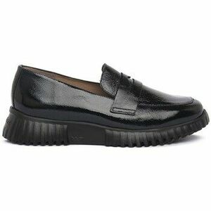 Mokkaszínek Wonders 4402NEGRO kép