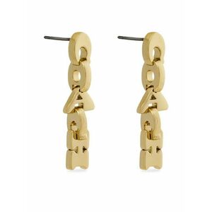 Fülbevaló Coach kép