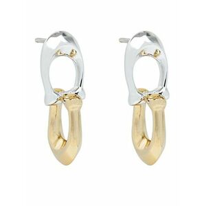 Fülbevaló Coach kép