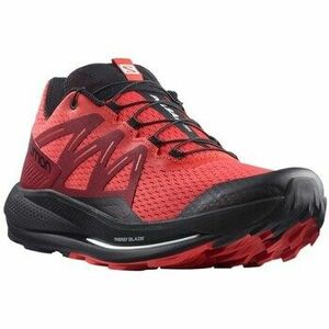 Futócipők Salomon Pulsar Trail kép