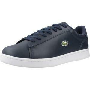 Divat edzőcipők Lacoste CARNABY SET kép