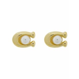 Fülbevaló Coach kép