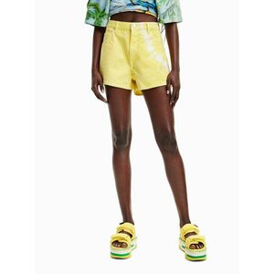 Farmer rövidnadrág Desigual kép