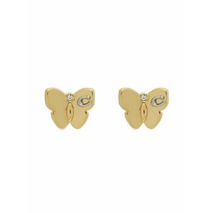 Fülbevaló Coach kép