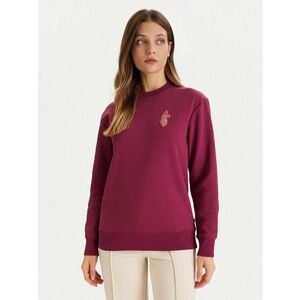 Pulóver Cotopaxi kép