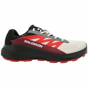 Futócipők Salomon Alphaglide Gtx kép