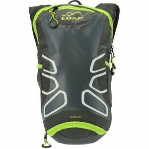 Hátitáskák Loap BB24124T15N kép