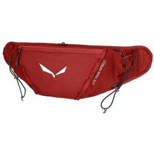 Kézitáskák Salewa Lite Train Hipbelt kép