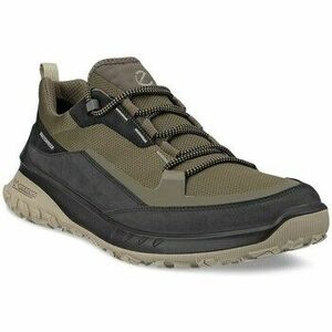 Rövid szárú edzőcipők Ecco Ult trn Low kép