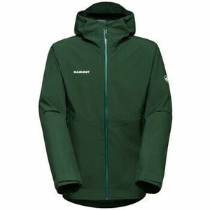 Kabátok Mammut Wanderjacke Alto Light Hardshell kép