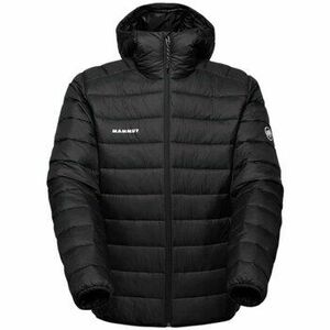 Kabátok Mammut Crag Insulated kép