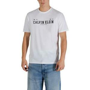 Rövid ujjú pólók Calvin Klein Jeans LV14RE817G kép