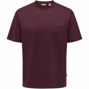 Rövid ujjú pólók Only & Sons Onsfred Life Rlx Ss Tee Noos 22022532 kép