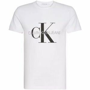 Hosszú ujjú galléros pólók Calvin Klein Jeans CORE MONOGRAM SLIM TEE J30J320935 kép