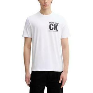 Rövid ujjú pólók Calvin Klein Jeans LV04RE819G kép