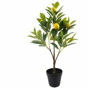 Műnövények Signes Grimalt Lemon Tree S kép
