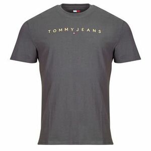 Rövid ujjú pólók Tommy Jeans TJM REG LINEAR LOGO TEE EXT kép