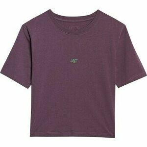 Rövid ujjú pólók 4F K16258 kép