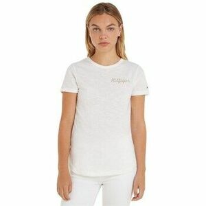 Rövid ujjú pólók Tommy Hilfiger WW0WW37860YBL kép