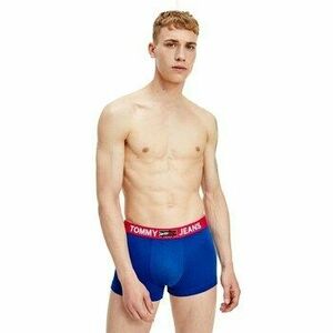 Bugyik Tommy Hilfiger UM0UM02178C86 kép