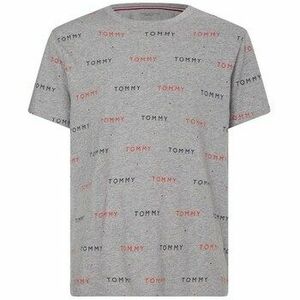 Rövid ujjú pólók Tommy Hilfiger UM0UM021320IM kép