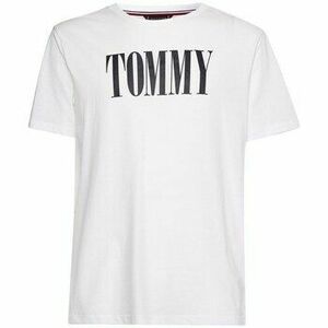 Rövid ujjú pólók Tommy Hilfiger UM0UM02534YBR kép