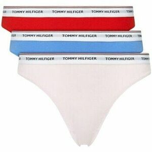 Bugyik Tommy Hilfiger UW0UW048940WR kép