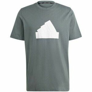 Rövid ujjú pólók adidas Fi Bos Reg T kép