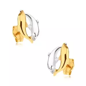 9K arany delfin fülbevaló sárga és fehér arany kombinációjával kép