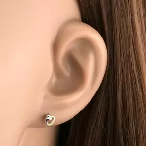 9 karátos arany fülbevaló szív alakú mintával és átlátszó cirkóniával kép
