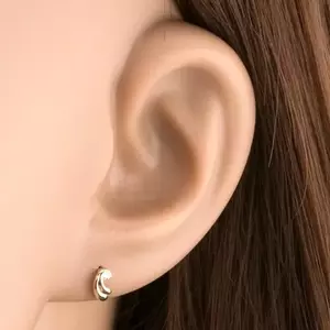 9 karátos arany fülbevaló átlátszó cirkóniával és dupla ívekkel kép