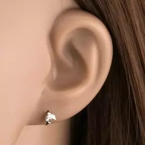 9 karátos arany delfinek fülbevaló átlátszó cirkóniákkal kép