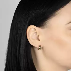 Kétszínű 585 arany fülbevaló - fényes kerek alakú, sáv és Fleur de Lis, bronz színben kép