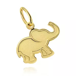Medál sárga 14K aranyból - kis lapos elefánt matt középpel kép