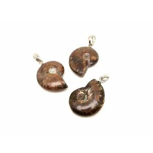 Medál ammonitesz reflect 30-40mm kép