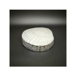 Kagyló alakú ékszertartó doboz fehér díszes tároló 10–11×10 cm kép