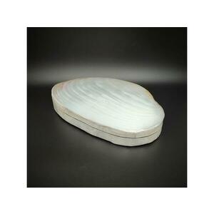 Nagyméretű kagyló ékszertartó doboz fehér-krém díszdoboz 23 cm kép