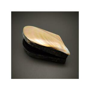 Gyöngyház kagyló ékszertartó doboz luxus megjelenés 4×10 cm kép