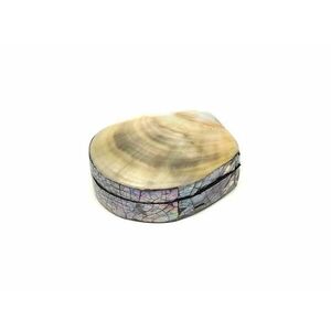 Sárga-szürke kagyló ékszertartó doboz modern stílusú díszdoboz 8×7 cm kép