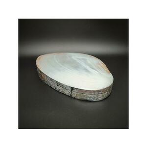 Pávakagyló ékszertartó doboz krém színben prémium ékszertartó 23 cm kép