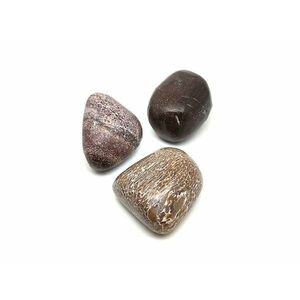 Dinócsont dobcsiszolat kép