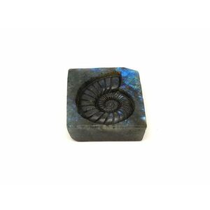 Labradorit slab ammonitesz 5-6cm kép