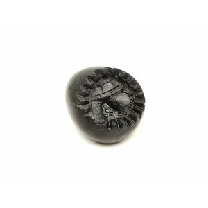 Obszidián Teknős tojás kép