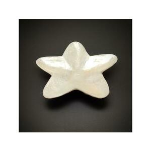 Tál kagyló csillag 10cm kép