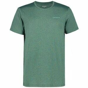 Rövid ujjú pólók Icepeak Bogen kép