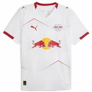 Rövid ujjú pólók Puma 779876 kép