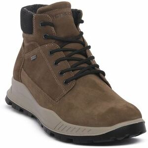 Csizmák IgI&CO ELOY FANGO kép